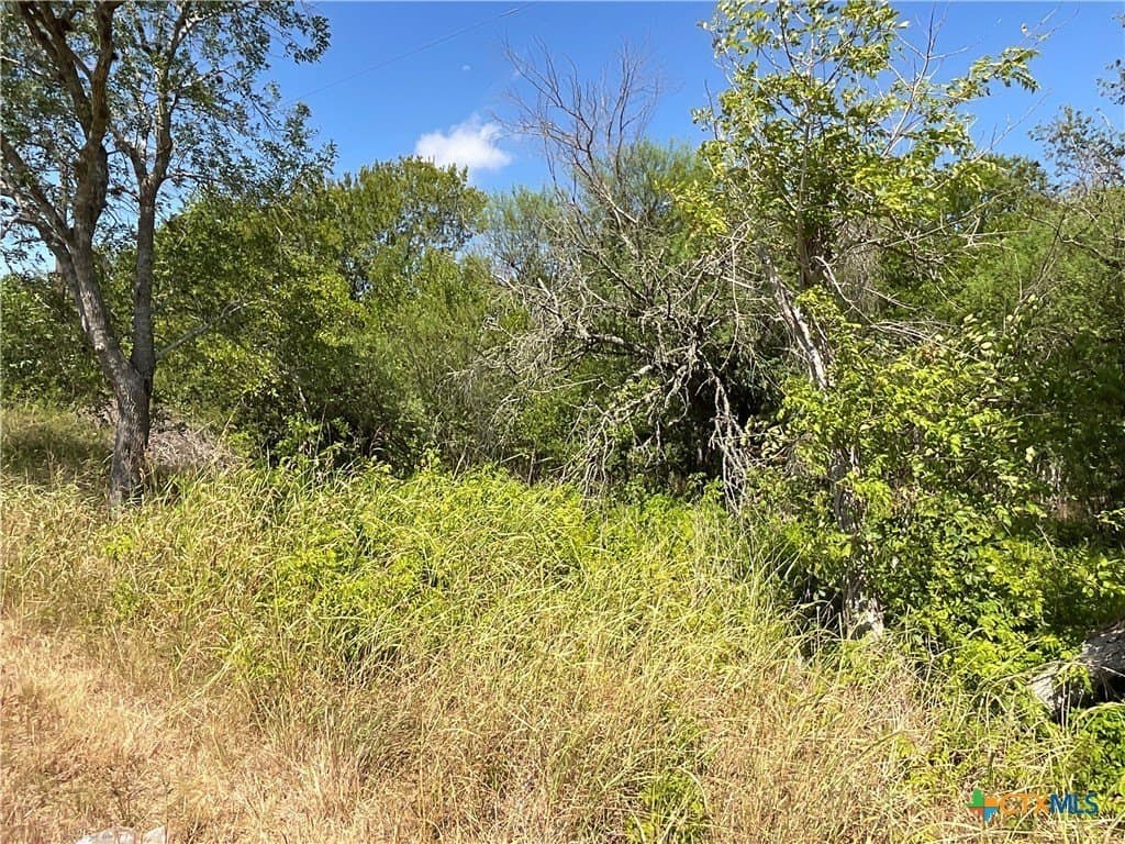 1.9 acres in DeWitt County - photo 4