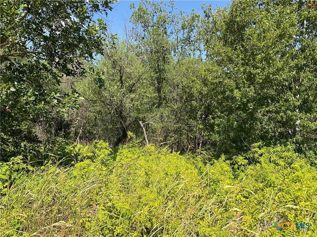 1.9 acres in DeWitt County - photo 6
