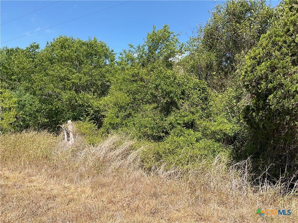 1.9 acres in DeWitt County - photo 16