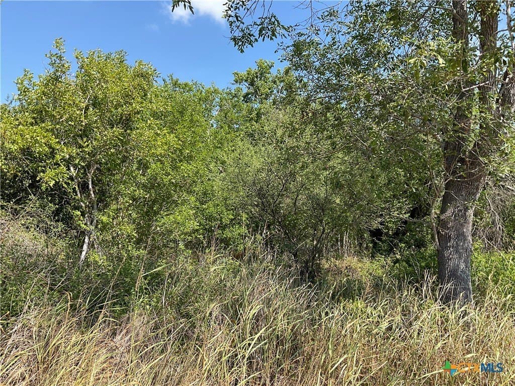 1.9 acres in DeWitt County - photo 9