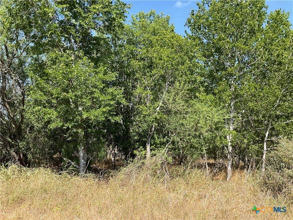 1.9 acres in DeWitt County - photo 13