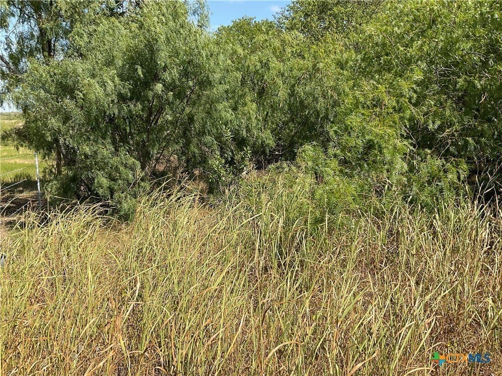 1.9 acres in DeWitt County - photo 12