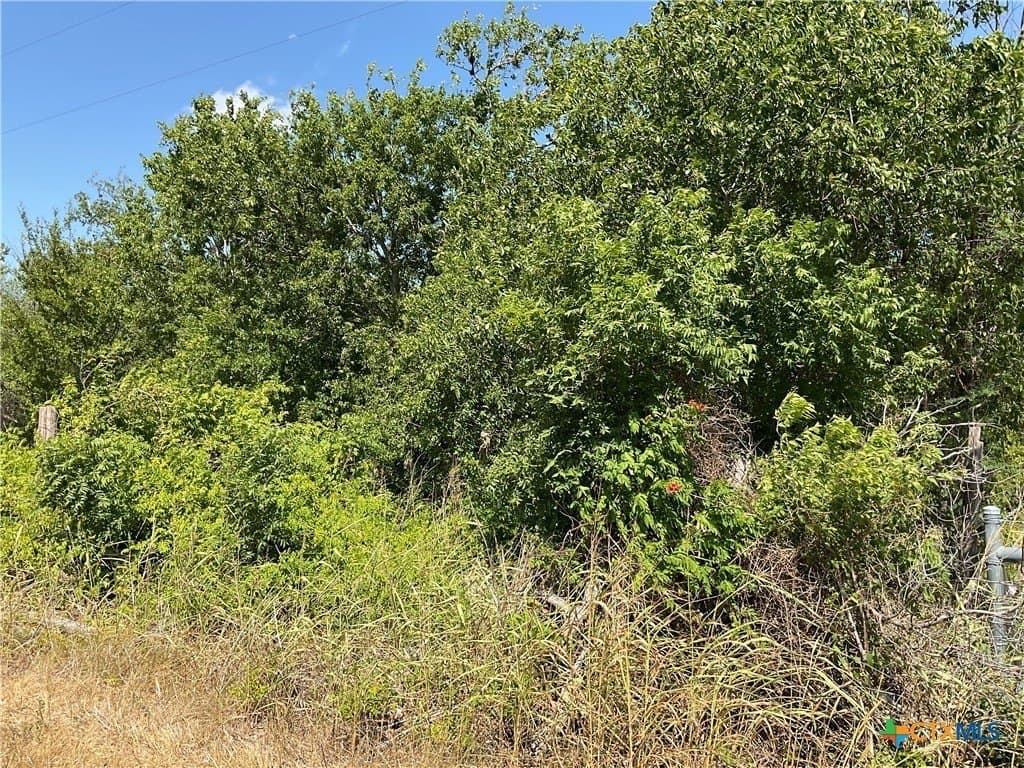 1.9 acres in DeWitt County - photo 7