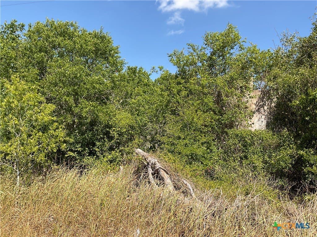 1.9 acres in DeWitt County - photo 14