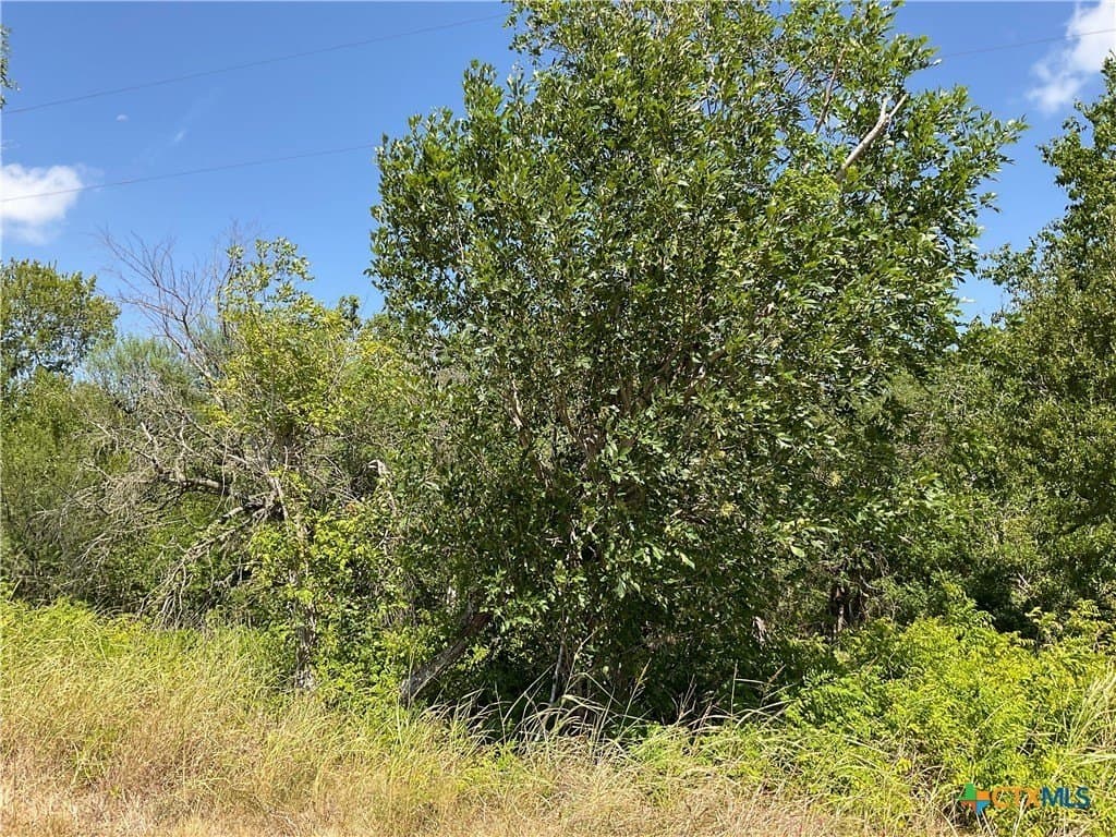 1.9 acres in DeWitt County - photo 8