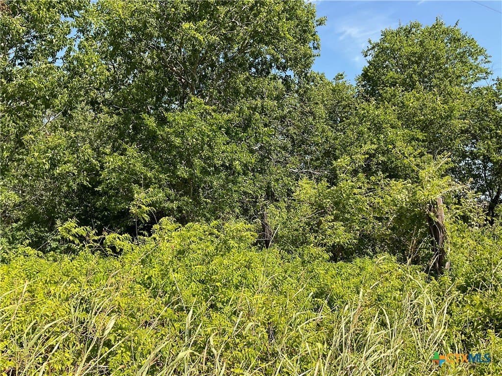 1.9 acres in DeWitt County - photo 5