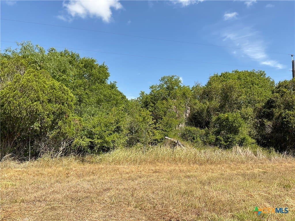 1.9 acres in DeWitt County - photo 10