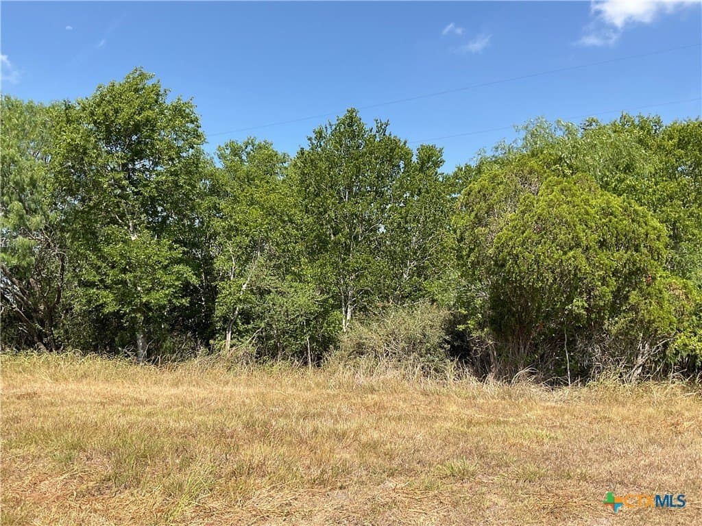 1.9 acres in DeWitt County - photo 11