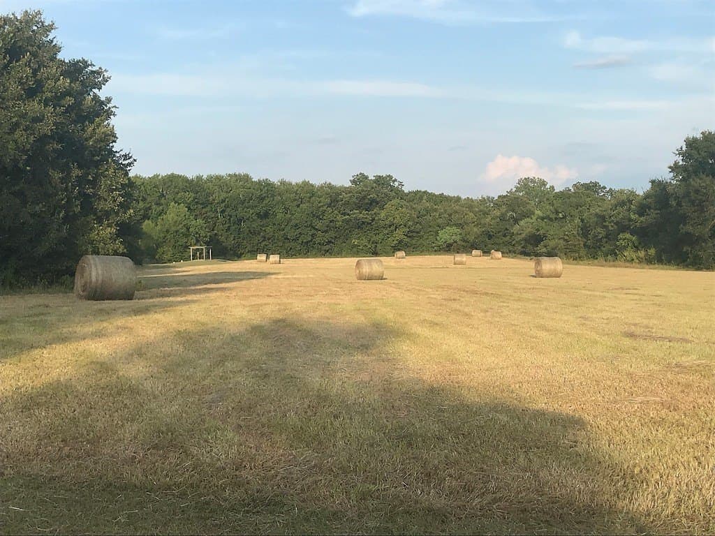 18.6 acres in Washington County - photo 23