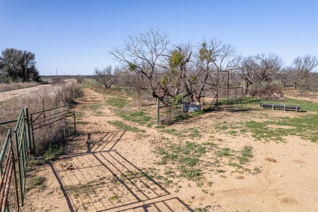77.25 acres in McCulloch County - photo 5
