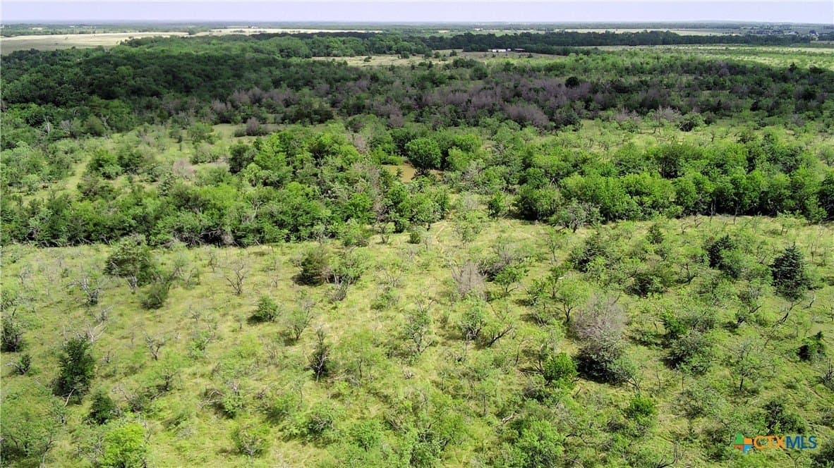 148.49 acres in Limestone County - photo 2