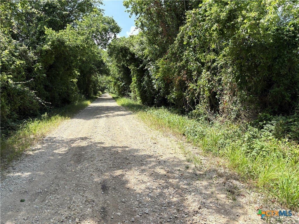 148.49 acres in Limestone County - photo 17