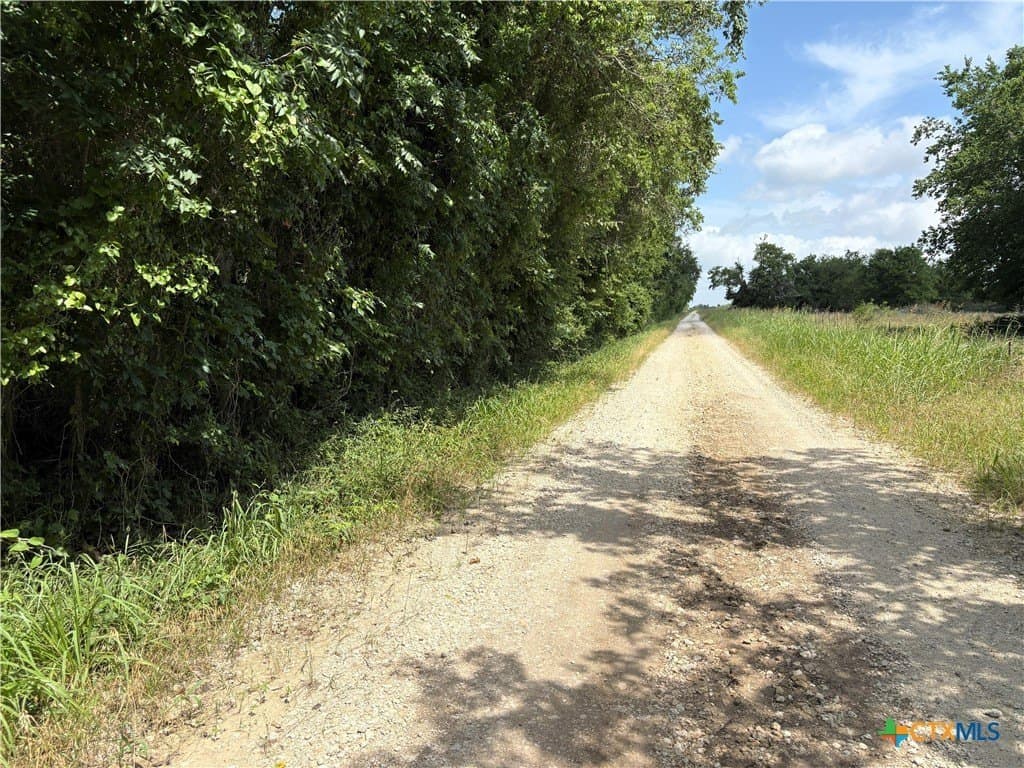 148.49 acres in Limestone County - photo 16