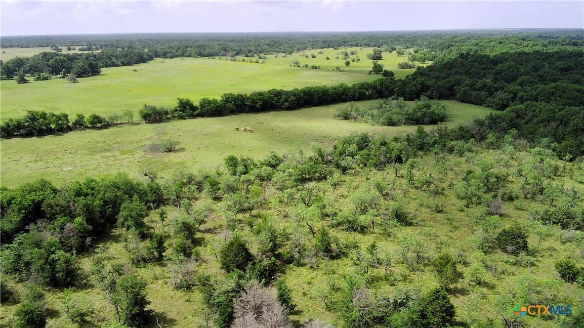 148.49 acres in Limestone County - photo 6