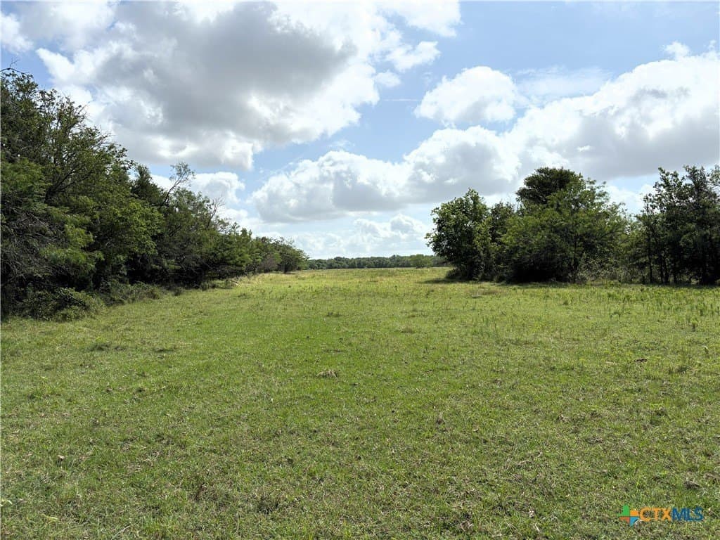 148.49 acres in Limestone County - photo 13