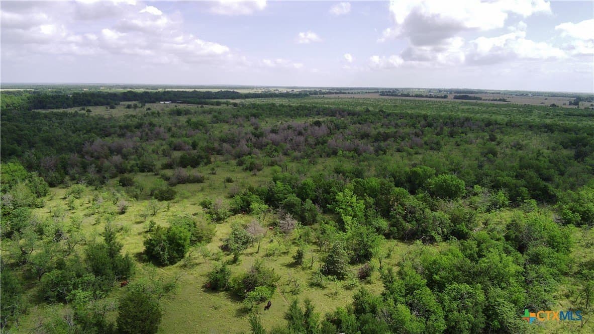 148.49 acres in Limestone County - photo 10