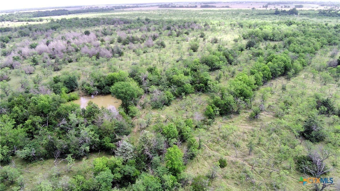 148.49 acres in Limestone County - photo 3