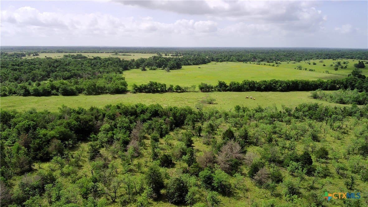 148.49 acres in Limestone County - photo 9