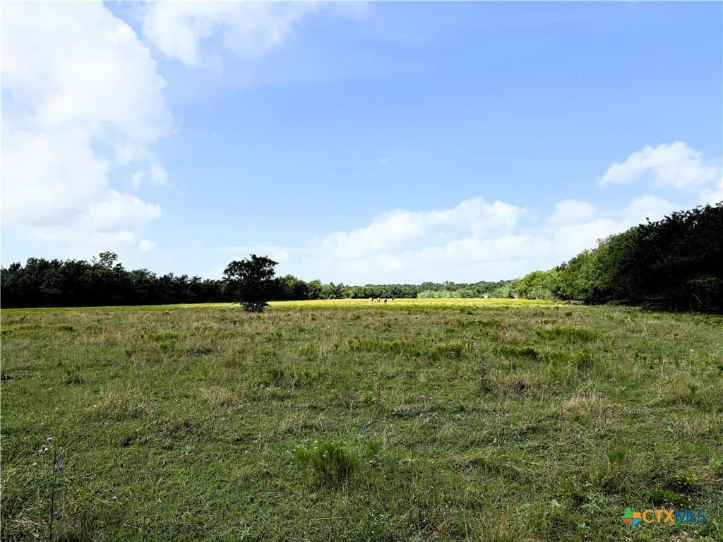 148.49 acres in Limestone County - photo 14