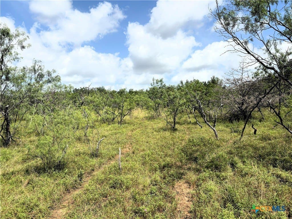 148.49 acres in Limestone County - photo 15