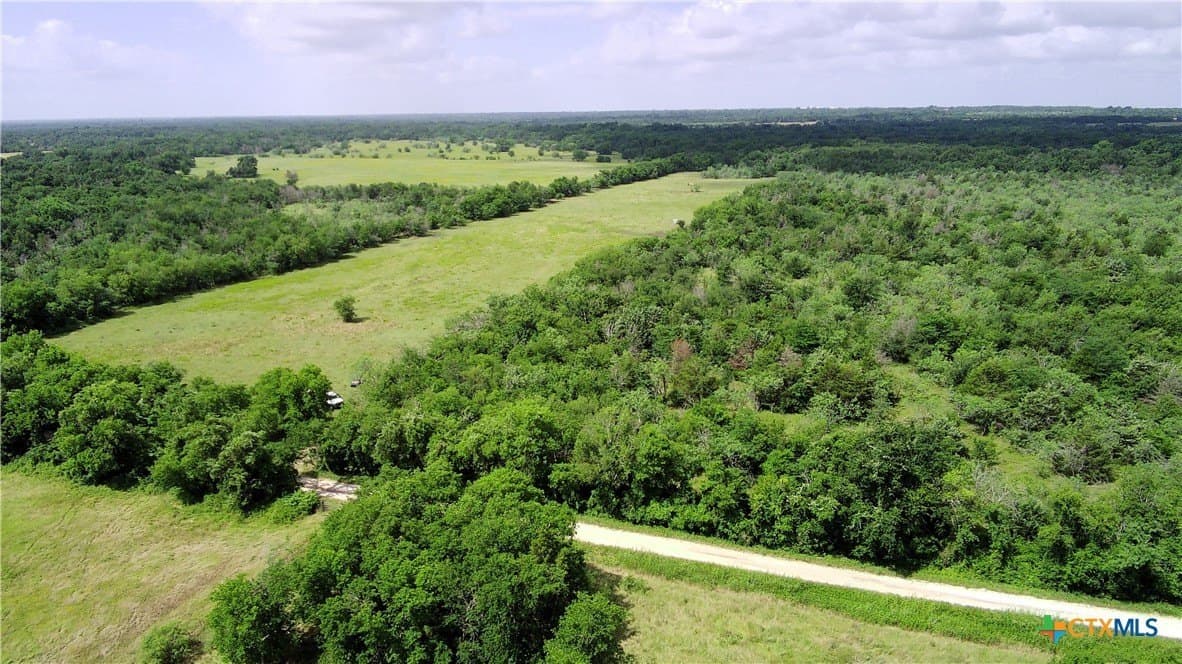 148.49 acres in Limestone County - photo 4
