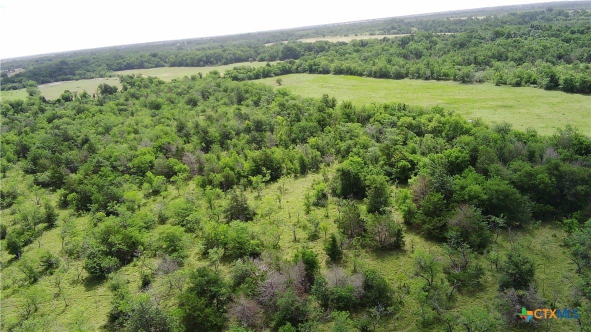 148.49 acres in Limestone County - photo 8