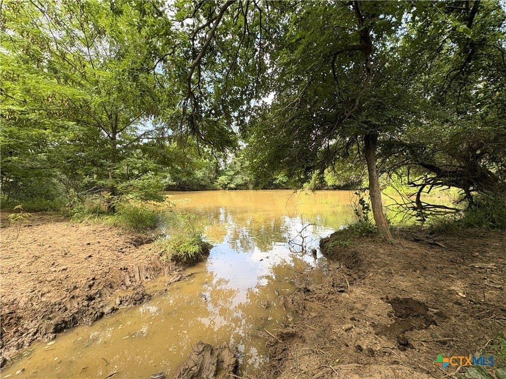 148.49 acres in Limestone County - photo 11