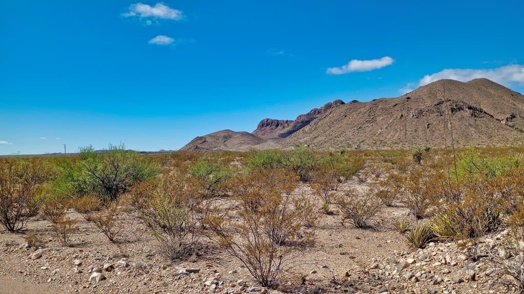 10 acres in Brewster County - photo 9