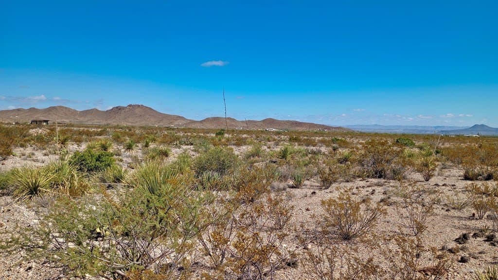 10 acres in Brewster County - photo 6