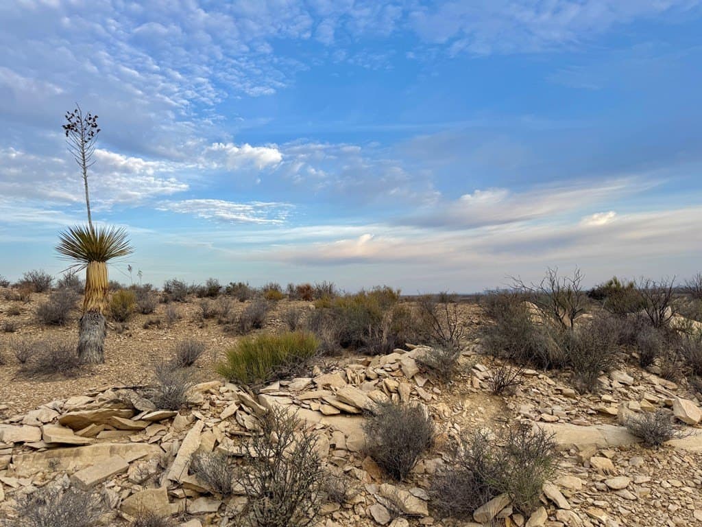 40 acres in Brewster County - photo 2