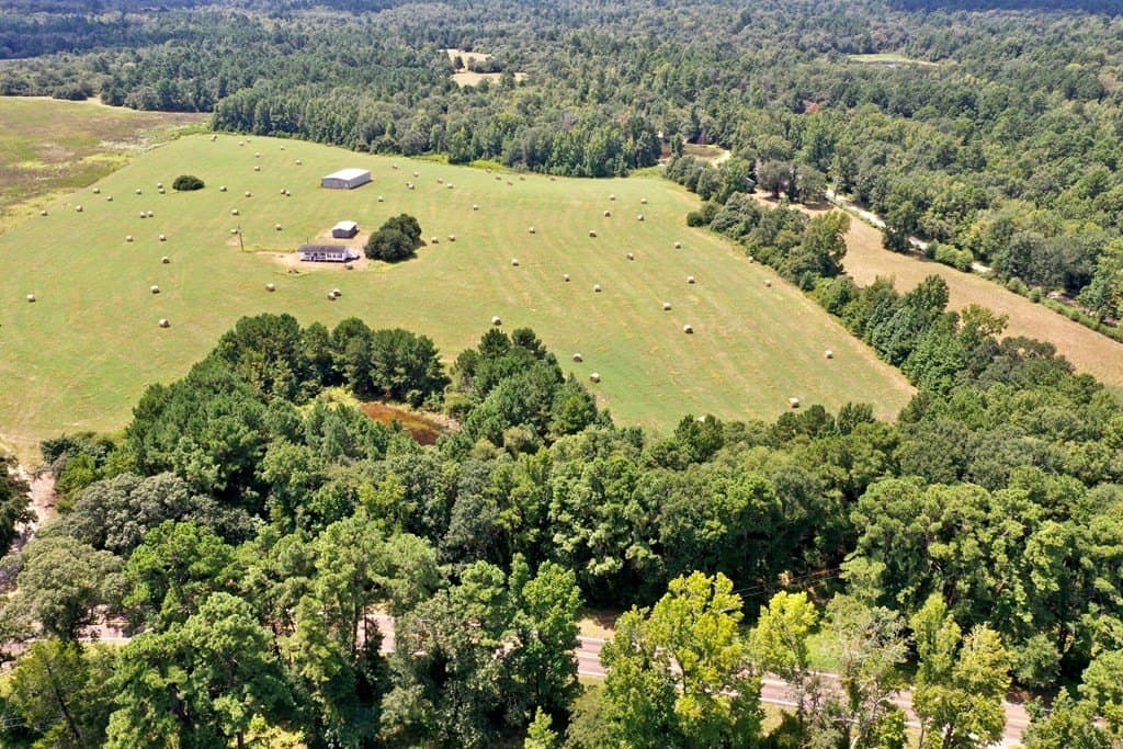 30.91 acres in LEON County - photo 11
