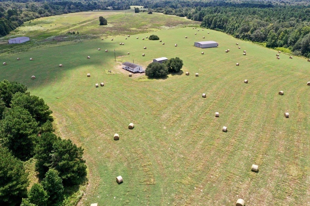 30.91 acres in LEON County - photo 15