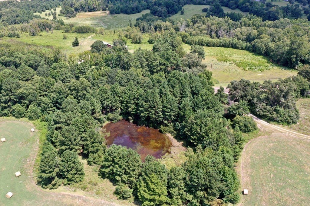 30.91 acres in LEON County - photo 12