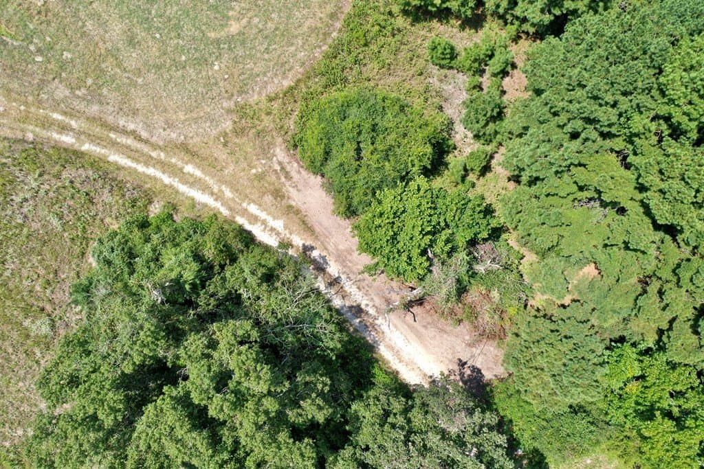 30.91 acres in LEON County - photo 13