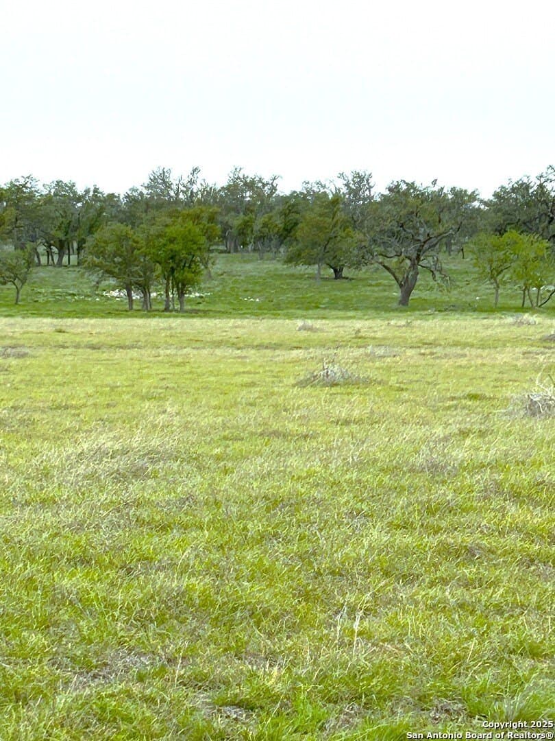 69 acres in Gillespie County - photo 3