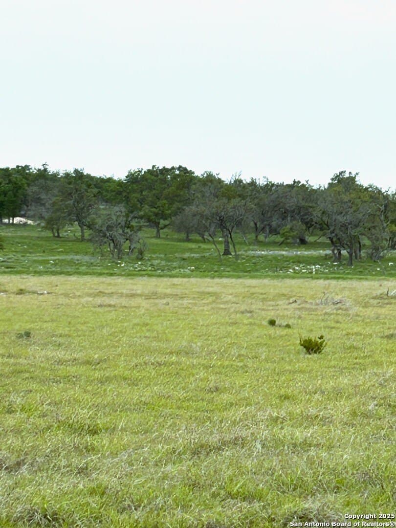 69 acres in Gillespie County - photo 4