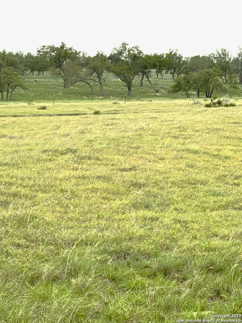 69 acres in Gillespie County - photo 2
