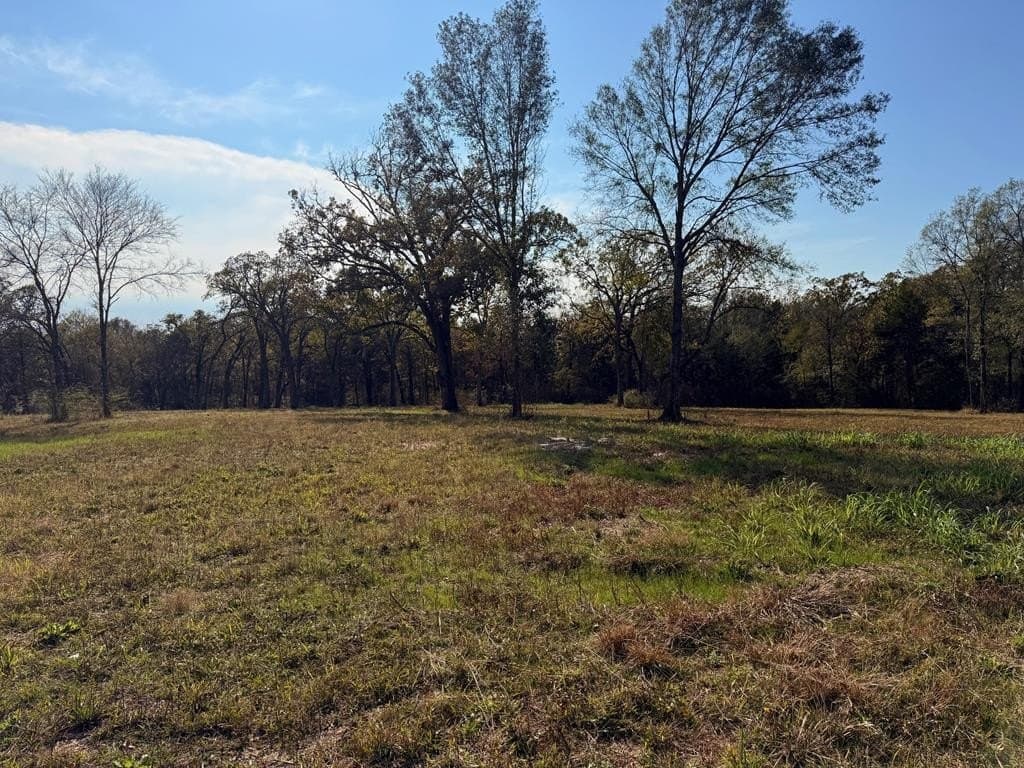 527 HWY 175 E