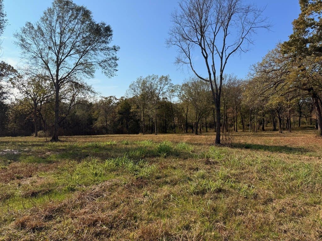 5.66 acres in Henderson County - photo 5