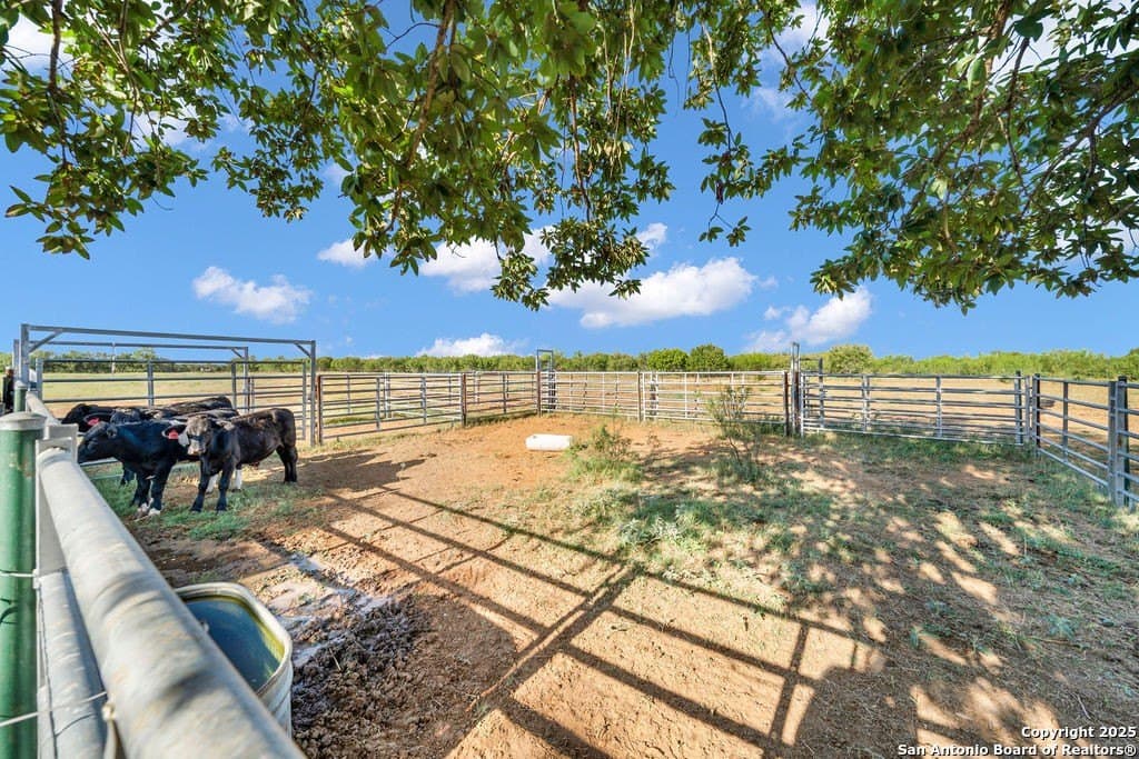 45 acres in Medina County - photo 38
