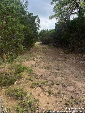 10 acres in Bexar County - photo 14