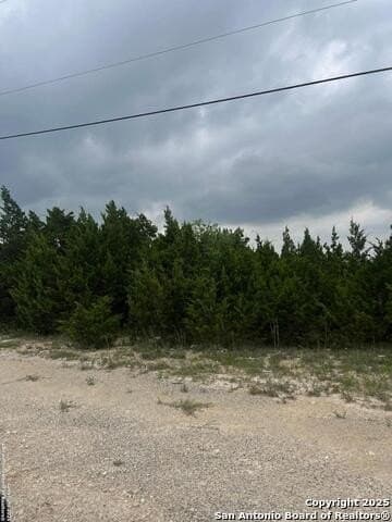 10 acres in Bexar County - photo 15