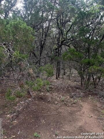10 acres in Bexar County - photo 13
