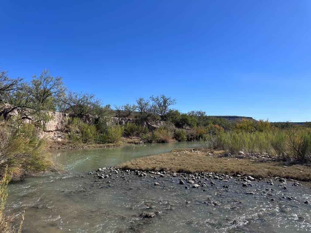 276.9 acres in Crockett County - photo 2