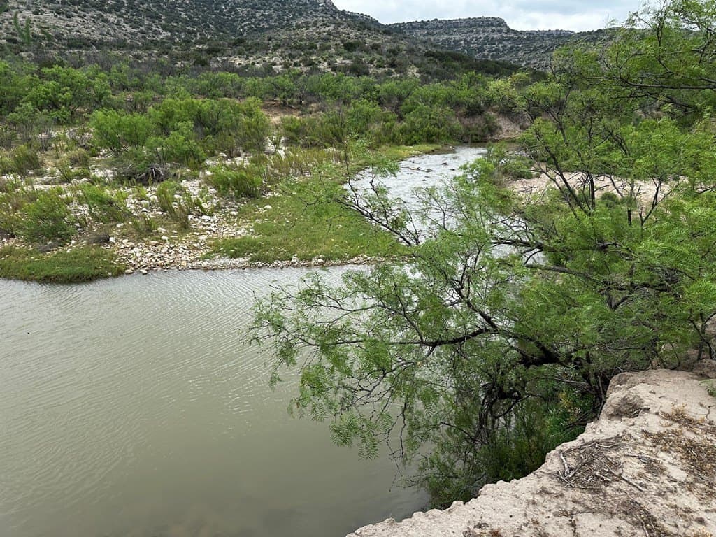 276.9 acres in Crockett County - photo 12