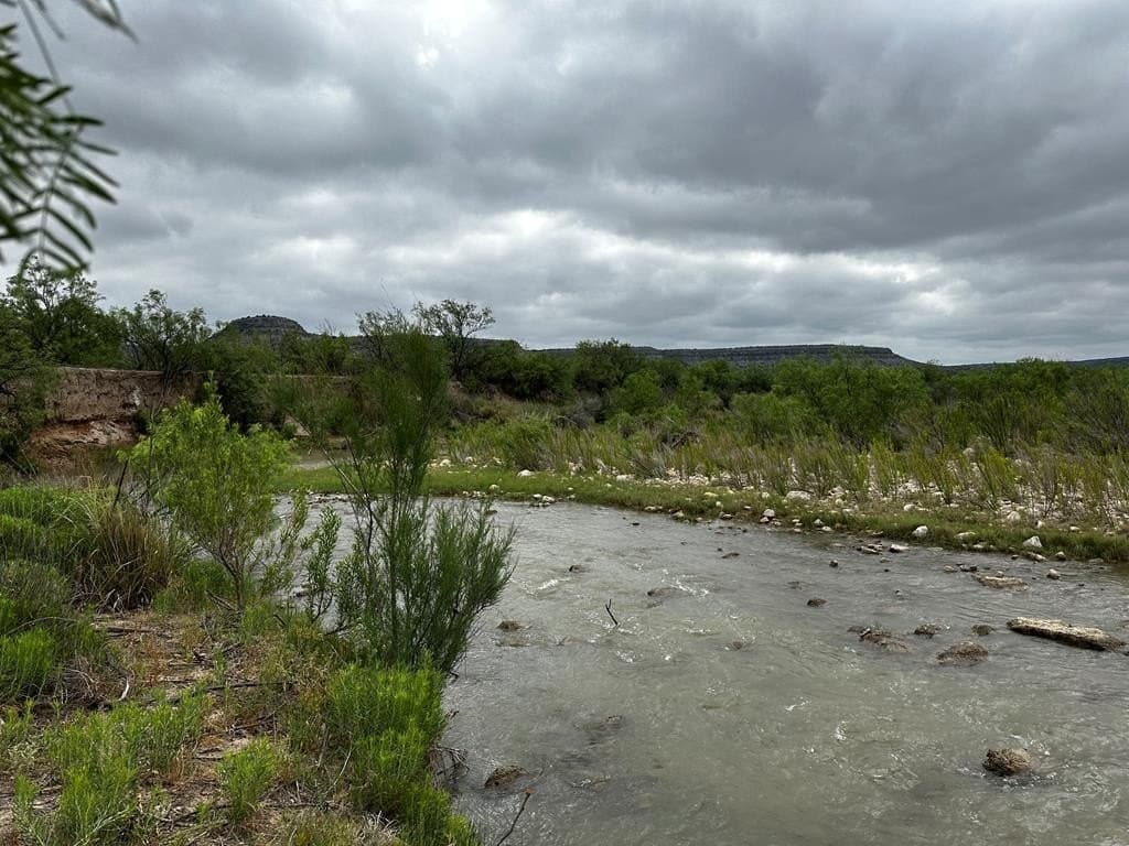 276.9 acres in Crockett County - photo 11
