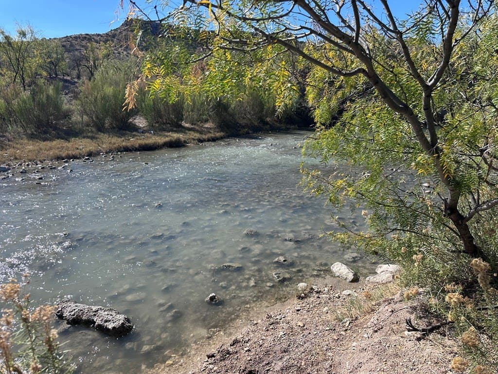 276.9 acres in Crockett County - photo 5