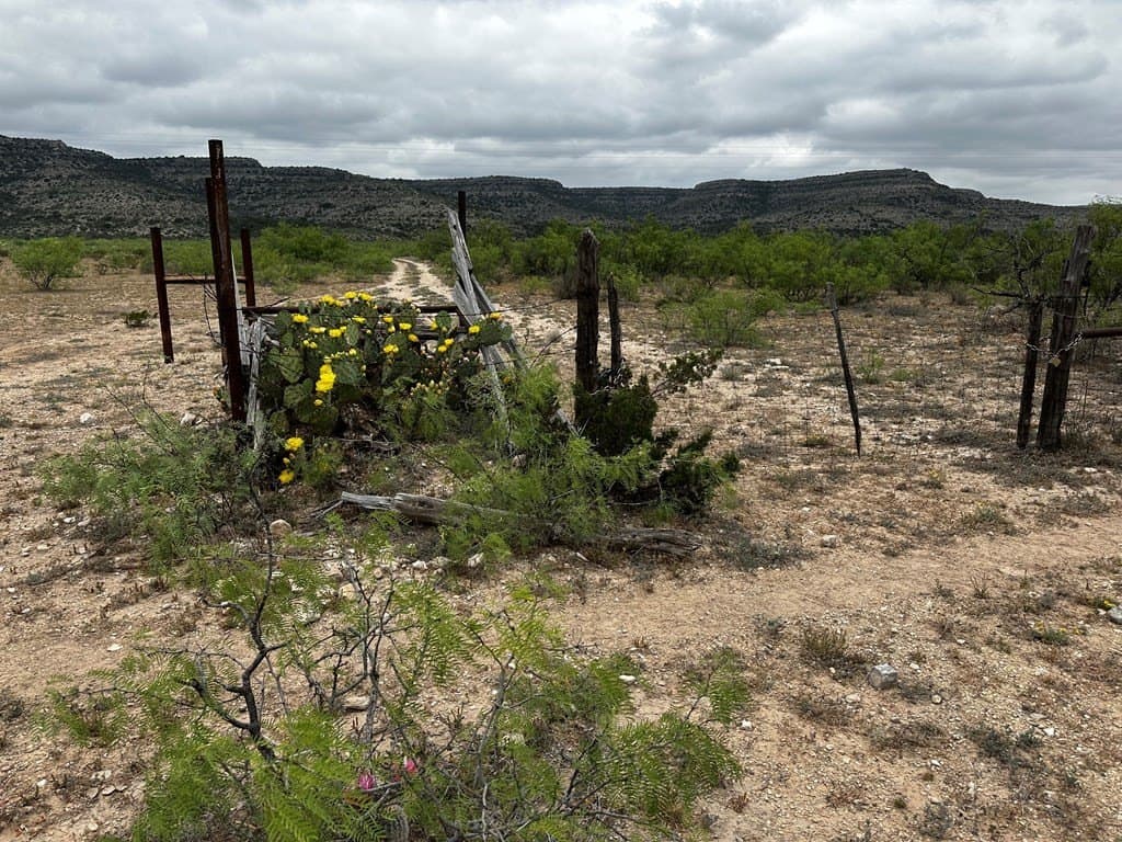 276.9 acres in Crockett County - photo 14
