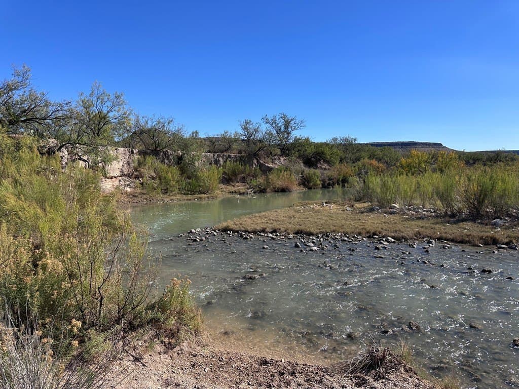 276.9 acres in Crockett County - photo 4