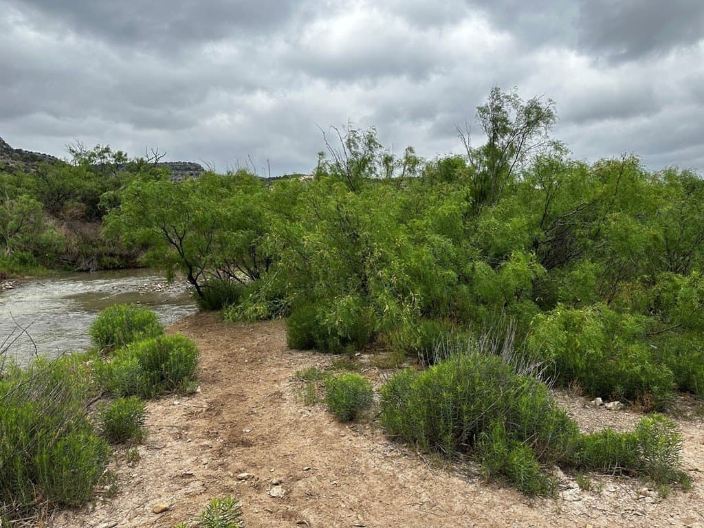 276.9 acres in Crockett County - photo 9